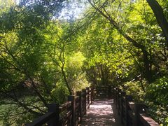 -白马涧龙池景区