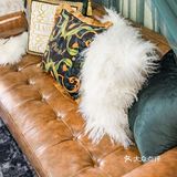 住进成都🌟 | 鲜艳又美腻！欢迎来到西域风情民宿🌺！