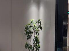 -东方威尼斯温泉酒店