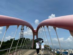 -金鸡山公园