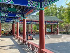 -莲花池公园