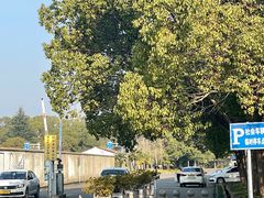 -胜华驾校·小猫学车(银都店)