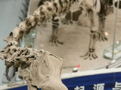 -中国地质大学逸夫博物馆