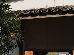 -杨家堂村
