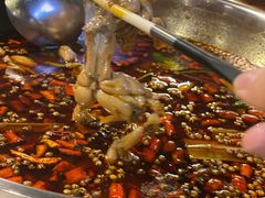 -味之绝热血美蛙鱼火锅(中坝店)