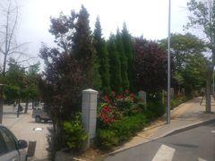 -天正河鲀·河豚亭(大连店)