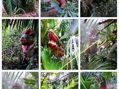 -呀路古热带植物园