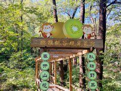 -大岭沟猕猴桃谷风景区