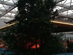 -天源吉布世温泉水乐园