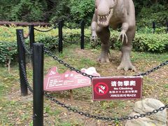 -金钉子远古世界景区