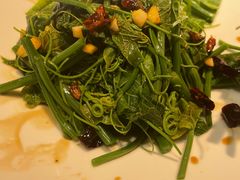 -院里寻菜·精致庭院菜(观沙岭店)