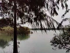 -贡湖湾湿地公园