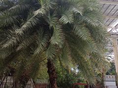 -龙达温泉生态城