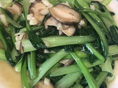 青菜炒香菇-谢师酒家