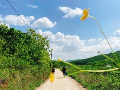 -丹东市五龙山风景区