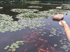-白马涧龙池景区