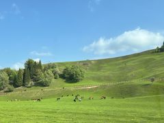 -新疆那拉提国家旅游度假区