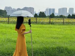 -汉长安城未央宫国家考古遗址公园