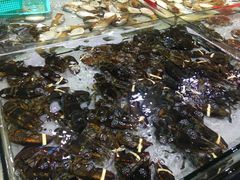 -渔傅·蓝海岸霞浦海鲜(正祥店)