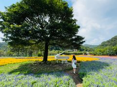 -广州市石门国家森林公园