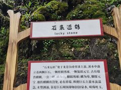 -龙苍沟森林公园