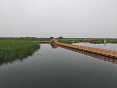 -白洋淀风景区