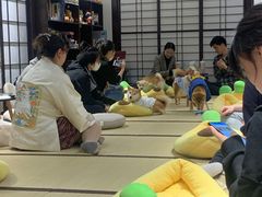 -逗柴咖啡屋·狗咖猫咖宠物桌游