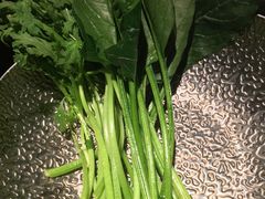 油麦菜-蜀城老妈火锅(红旗街店)