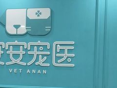 -安安宠医宠物医院·异宠·犬猫内科(岳阳分院)