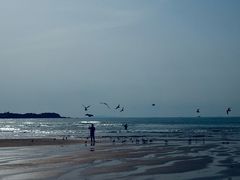 -金沙滩海水浴场(万平口景区4号门扬帆广场店)