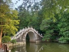 -深圳仙湖植物园