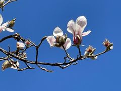 -东华门大街小区