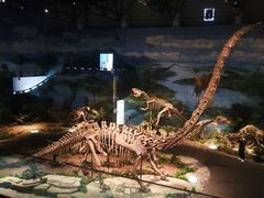 -自贡恐龙博物馆