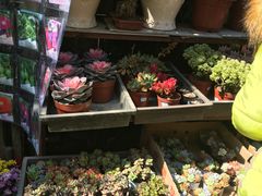 -玉泉综合市场(天山北路店)