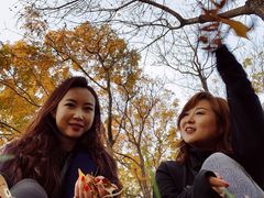 -大兴滨河森林公园