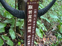 -西双版纳基诺山寨