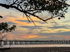 -宝安西湾红树林湿地公园