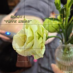 -薇薇安花系SPA
