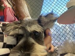 -怪兽屋·羊驼·猫咖·狗咖(俊华广场店)