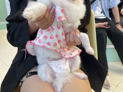 -怪兽屋·羊驼·猫咖·狗咖(俊华广场店)