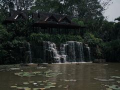 -中国科学院西双版纳热带植物园