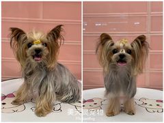 -FAELING PETS美天灵宠物(合生汇店)