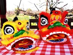 -樂桃源奉贤黄桃种植采摘基地