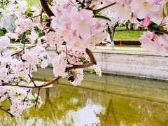 -海棠花溪(元大都城垣遗址公园)