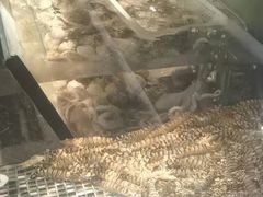 -官也街澳门火锅(新源里店)