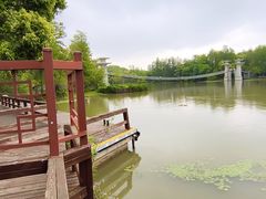 -东湖落雁景区