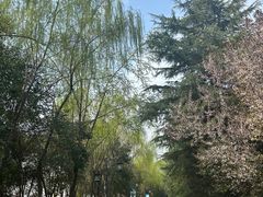 -西安汉城湖景区