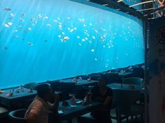 -瑞德姆美人鱼海底演艺主题餐厅(亚龙湾店)