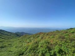 -大围山国家森林公园
