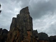 -海南热带野生动植物园